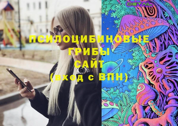 дживик Армянск