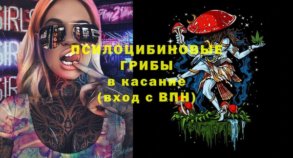 дживик Армянск