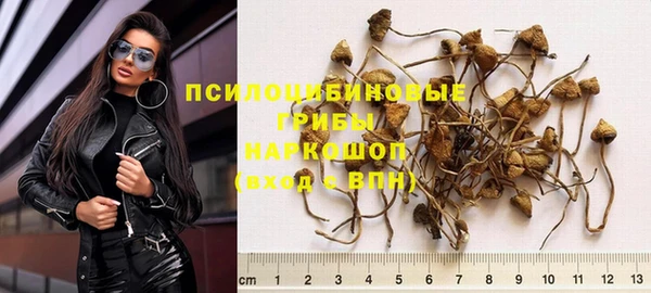 твердый Арсеньев
