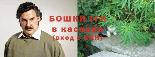 твердый Арсеньев
