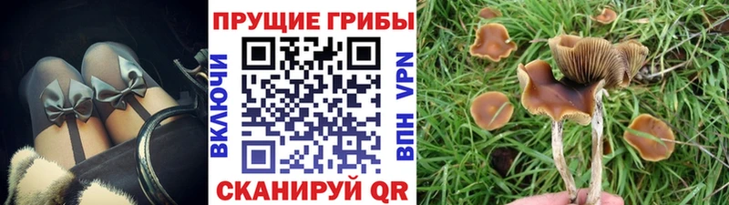 Галлюциногенные грибы мицелий  Еманжелинск 